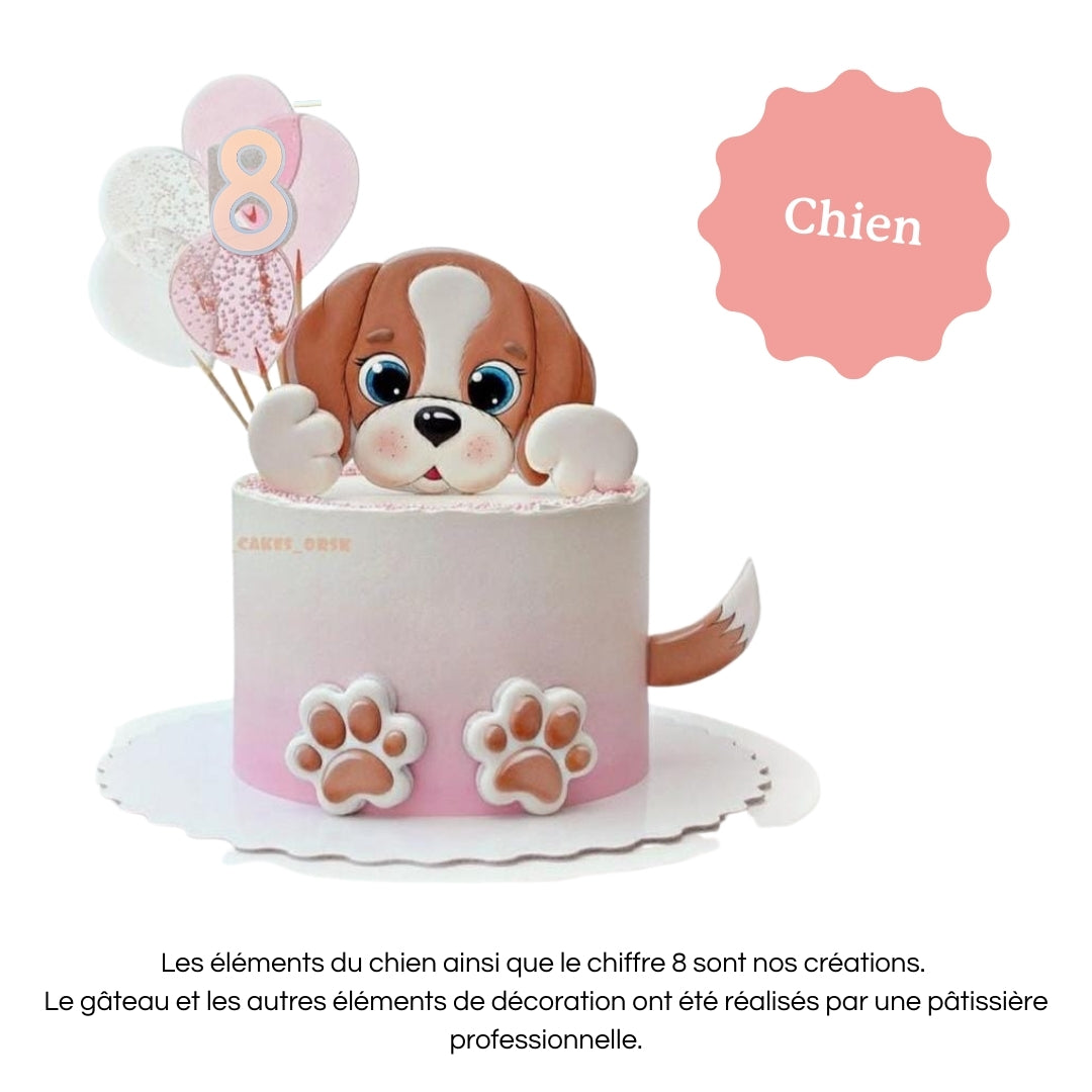 Cake topper personnalisé avec prénom et âge, décoration pour gâteau d’anniversaire chien.
