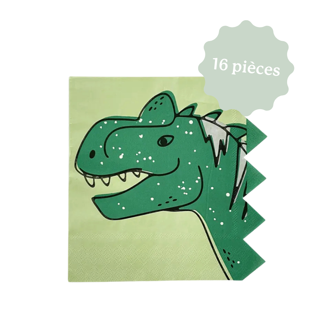 DINOSAURE décoration d'anniversaire