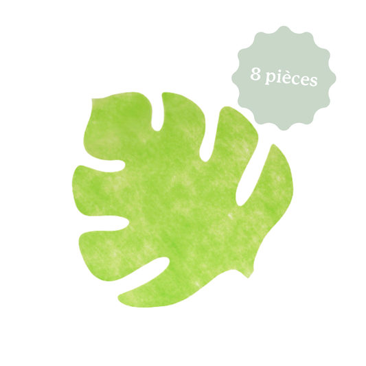 Sets de table - Dinosaure