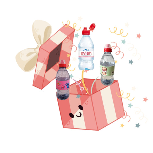 BOUTEILLE D'EAU MINI