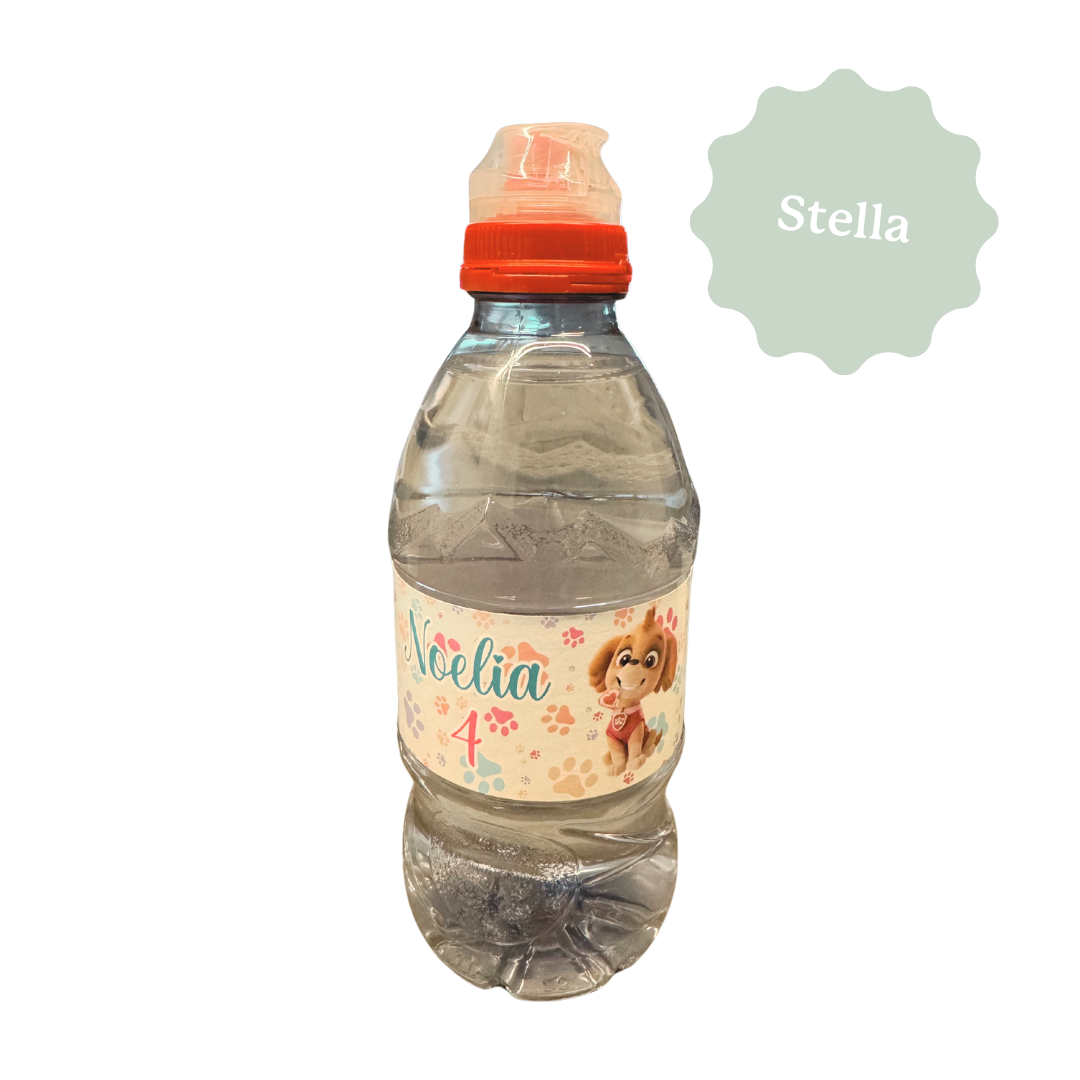 BOUTEILLE D'EAU MINI